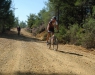 Antalya Dağ Bisikleti Turları (Mountain Biking) - 7